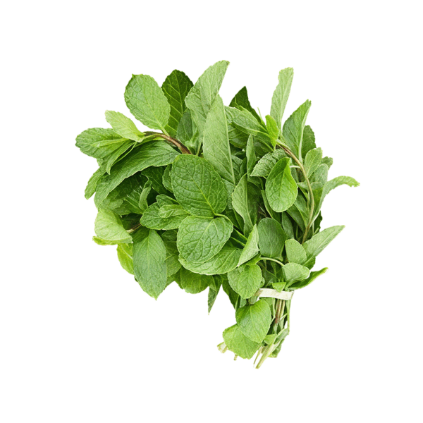 Mint Leaves - 1Bunch