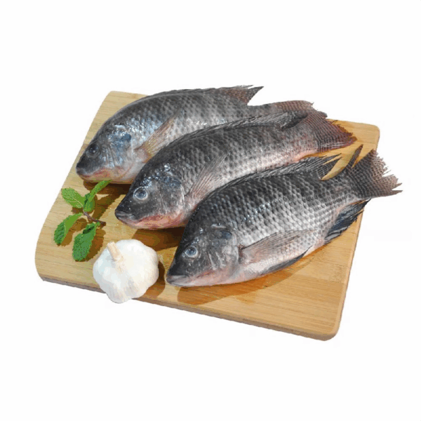 Tilapia - 1Kg