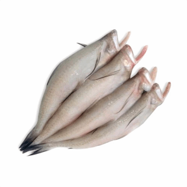 Bombay Duck - 1Kg