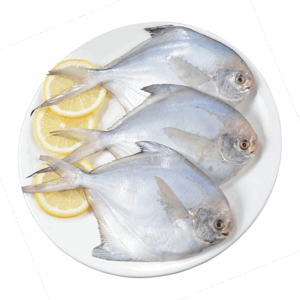 Silver Pomfret - 1Kg