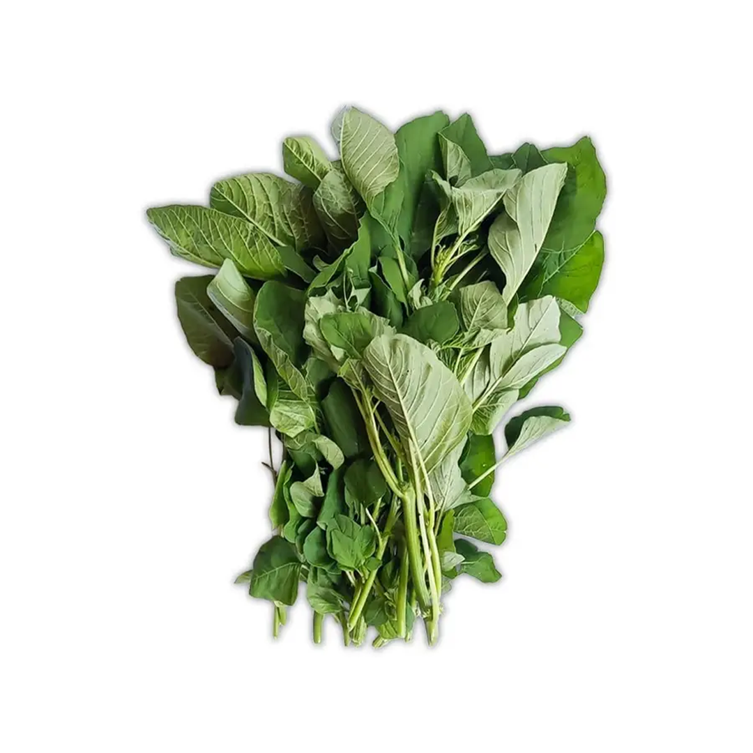 Untitled-3_0003_imgi_1_479558a_1_96f5cd83-9ff6-4c80-b895-f1c27765eb12